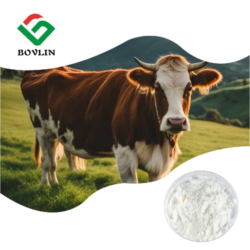 Bovine Collagen Peptide Powder Manufacturer - Hydrolyzed, 90% Protein, Wholesale Price