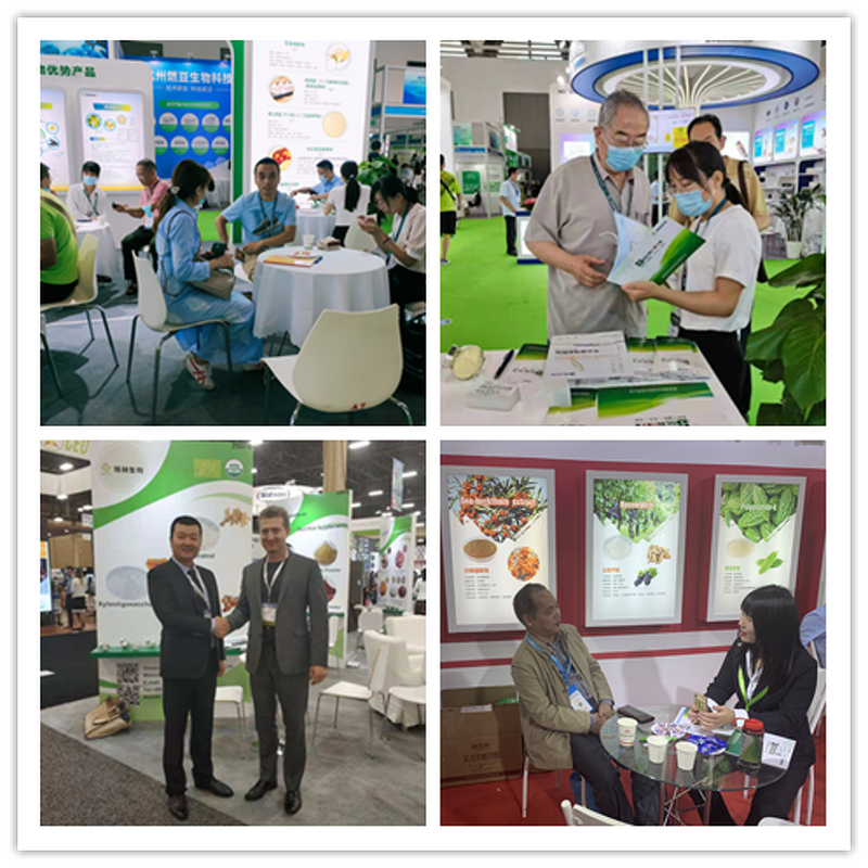 Palmitoylethanolamide PEA Powder Manufacturer - CAS 544-31-0 for Wholesale