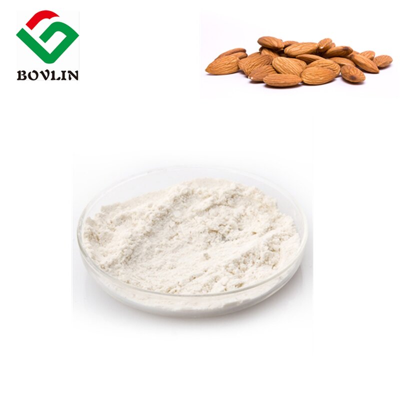 Almond Milk Powder Manufacturer - Bulk White Herbal Extract with High Protein in Drum or Plastic Container