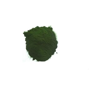 Chlorophyll Powder Manufacturer - Natural Pigment Sodium Copper Chlorophyllin CAS 28302-36-5