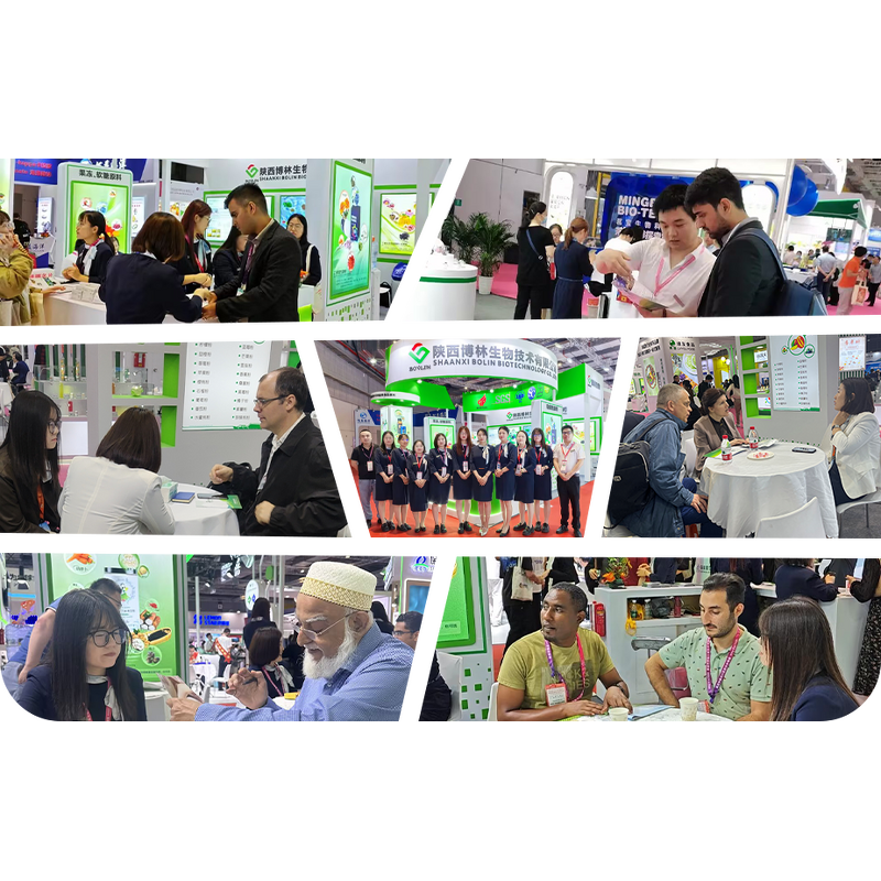 Liposomal NMN Powder Manufacturer - 50% & 70% Nicotinamide Mononucleotide