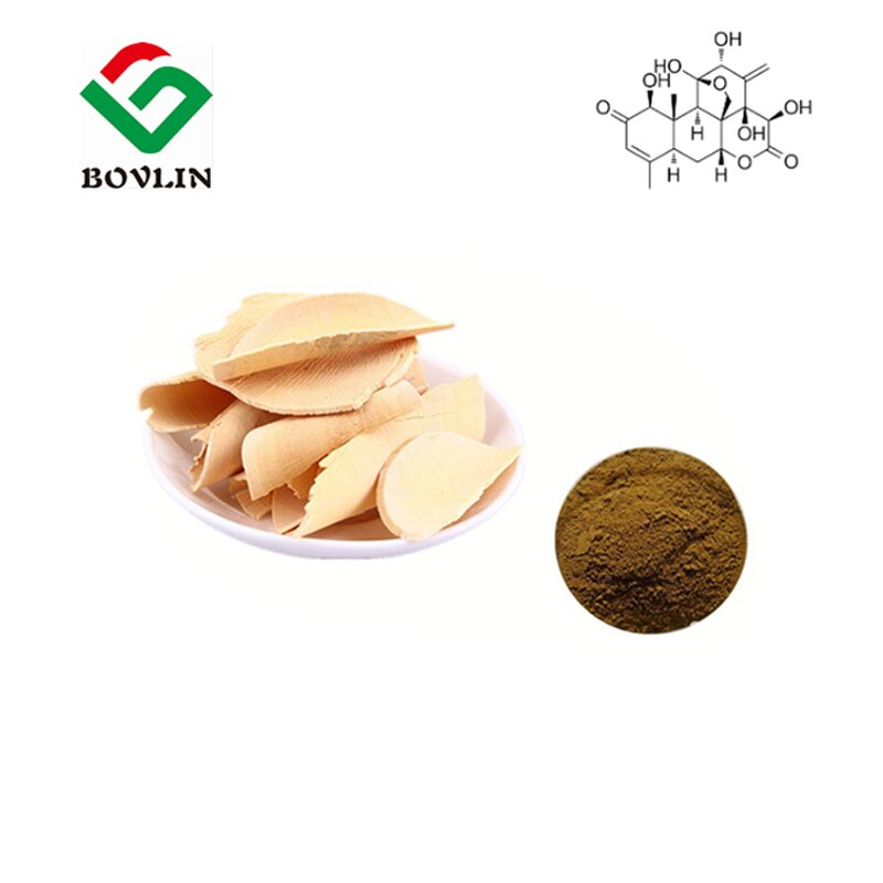 Tongkat Ali Root Extract Powder Manufacturer - Herbal Supplement Extract