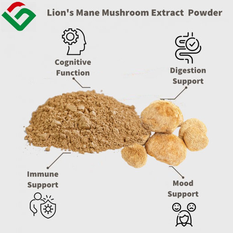 Lion's Mane Mushroom Capsules Manufacturer - Private Label Supplement
Lion's Mane Mushroom Capsules Manufacturer - Private Label & OEM
Lion's Mane Mushroom Capsules Manufacturer - Private Label & Bulk Supply