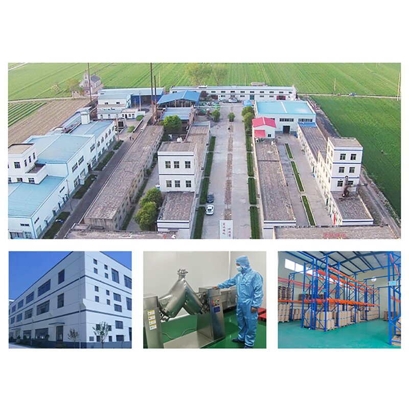 Rice Bran Extract Powder Manufacturer - 100% Pure Natural Organic with Allicin in Bottle or Drum