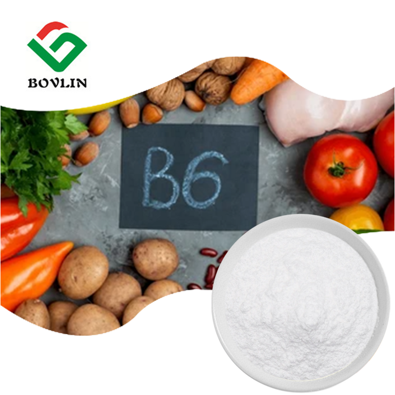 Liposomal Vitamin B6 Powder Manufacturer - 50% Concentration, Best Price