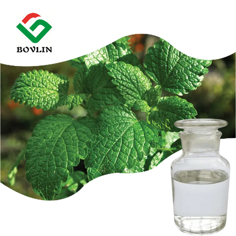 Peppermint Oil Manufacturer - Food Grade Organic Pure Bulk CAS 8006-90-4