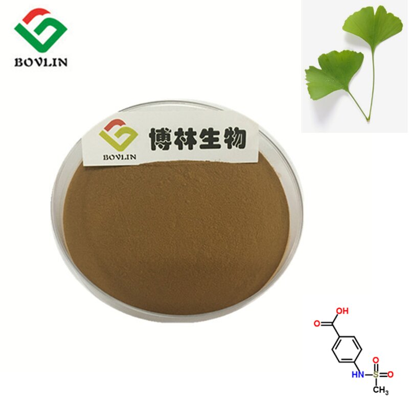 Ginkgo Biloba Extract Powder Manufacturer - Food Grade 100% Pure in Bottle or Glass