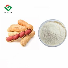 Peanut Peptide Powder Manufacturer - 95% Food Grade Hydrolyzed in Drum or Plastic Container