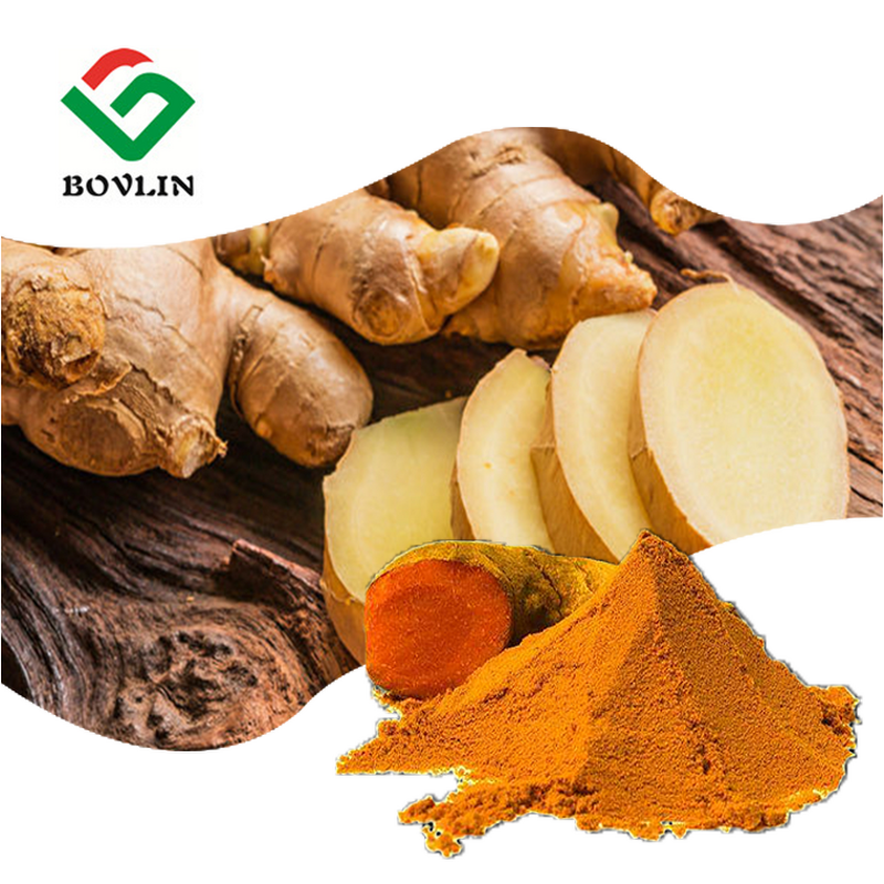 Turmeric Curcumin Powder Manufacturer - 95% Extract Supplement Factory Price