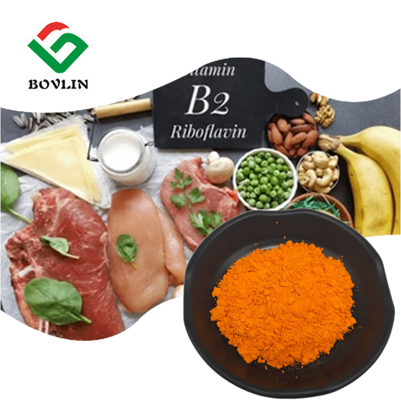 Liposomal Vitamin B2 Powder Manufacturer - 70% Purity Factory Supply