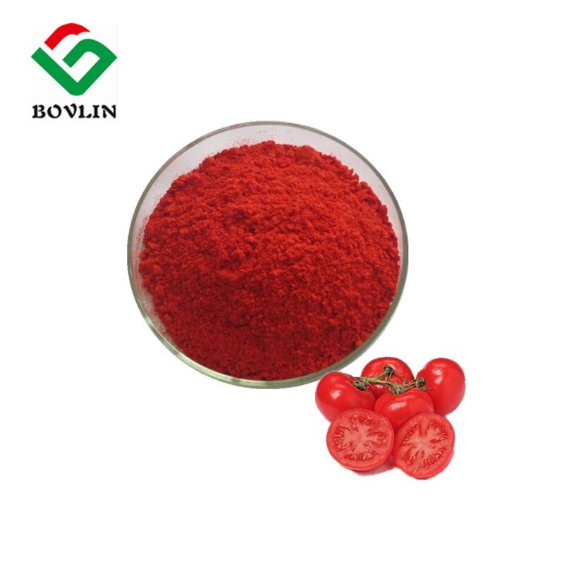 Tomato Powder Manufacturer - Bulk Spray Dried 100% Natural Tomato Extract