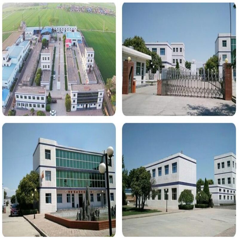 Carrot Extract Powder Manufacturer - Food Grade 99% Beta Carotene, 1kg Drum