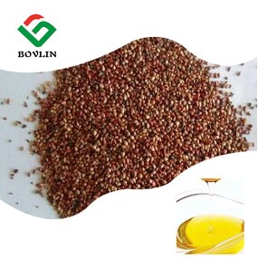 Strawberry Seed Oil Manufacturer - Pure Strawberry Seed Extract