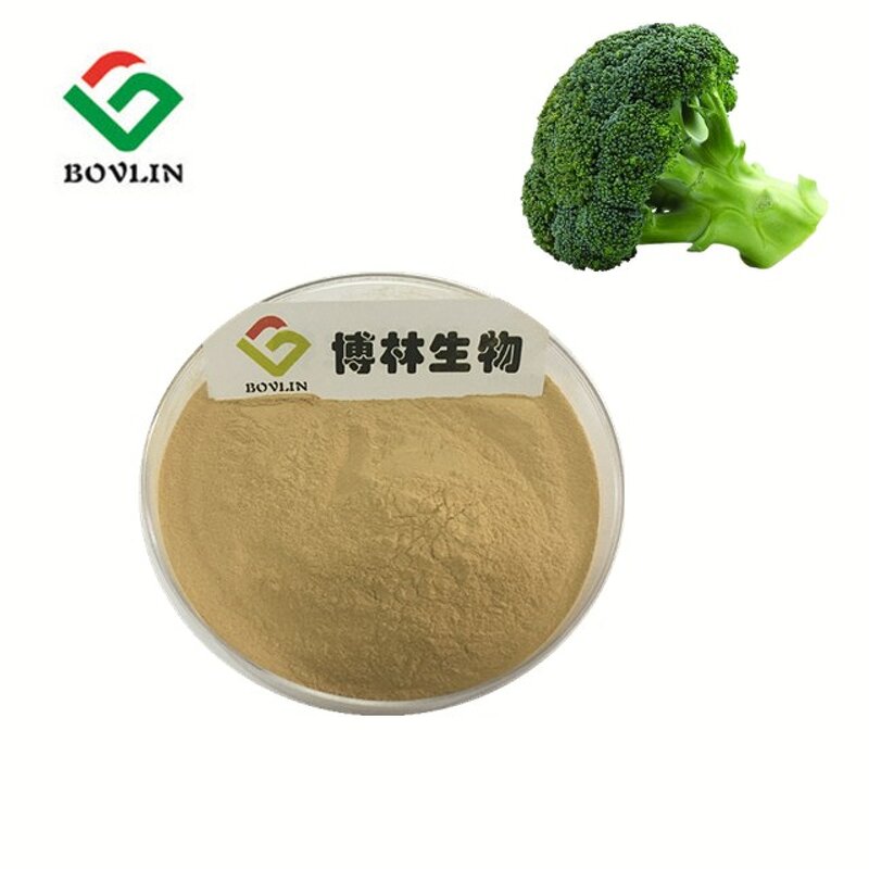 Organic Broccoli Extract Powder Manufacturer - 1% Sulforaphane Content