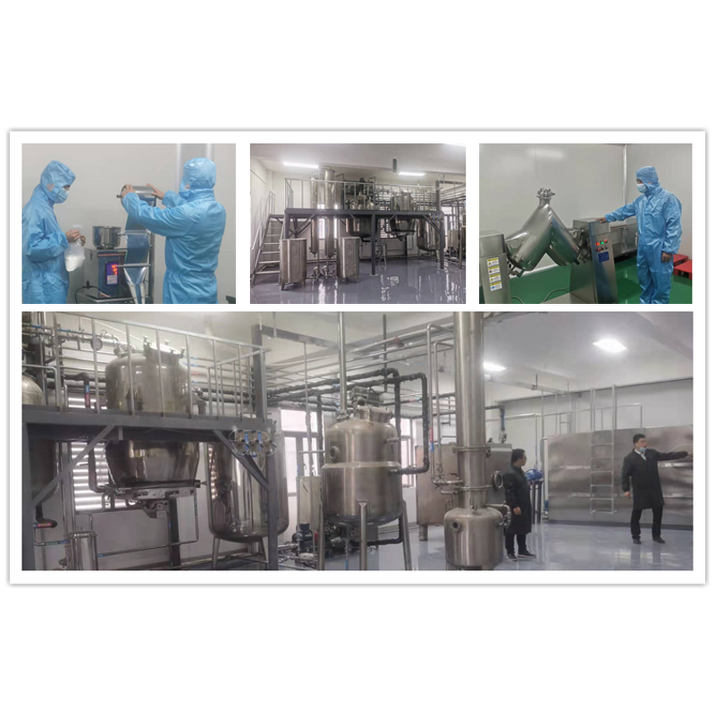 Palmitoylethanolamide PEA Powder Manufacturer - CAS 544-31-0 for Wholesale