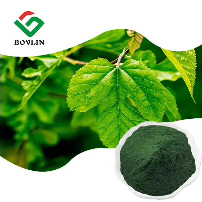 Chlorophyll Powder Manufacturer - Natural Pigment Sodium Copper Chlorophyllin CAS 28302-36-5