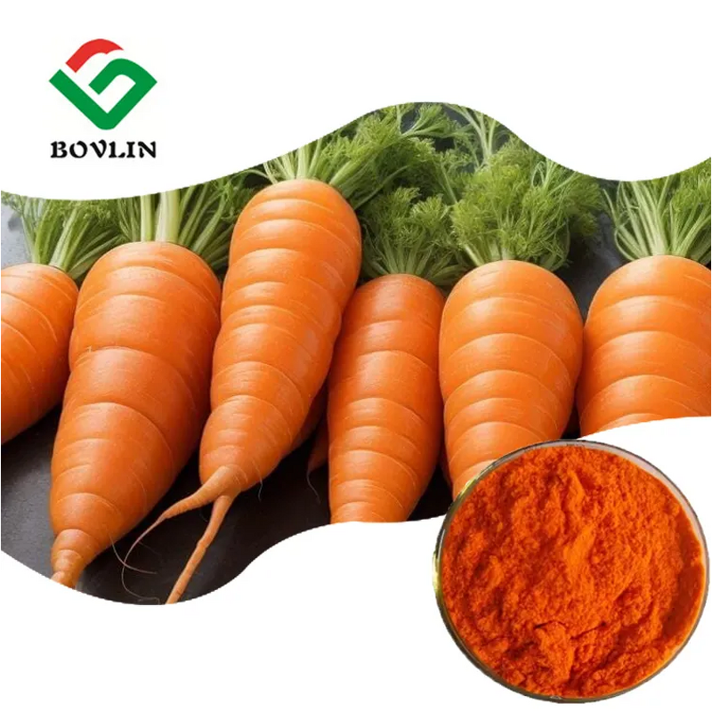Carrot Extract Powder Manufacturer - 10% Beta Carotene, Food Grade, 1kg Drum