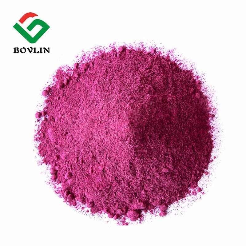 Natural Red Dragon Fruit Powder Manufacturer - 100% Water Soluble Pink Pitaya Juice Powder