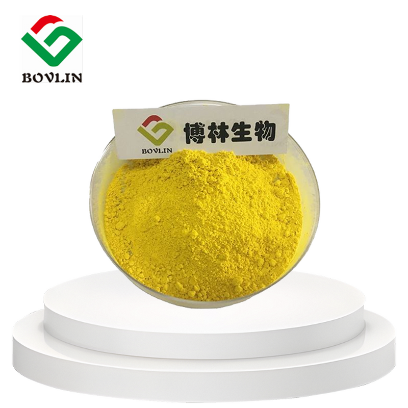 Liposomal Vitamin B9 Powder Manufacturer - 70% Folic Acid Powder