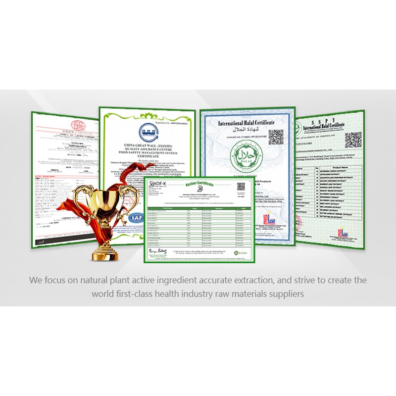 Organic Black Tea Powder Manufacturer - Instant Black Tea Extract