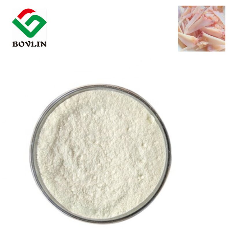 Collagen Type II Powder Manufacturer - Food Grade from Chicken Cartilage, 50% in Bottle or Drum
