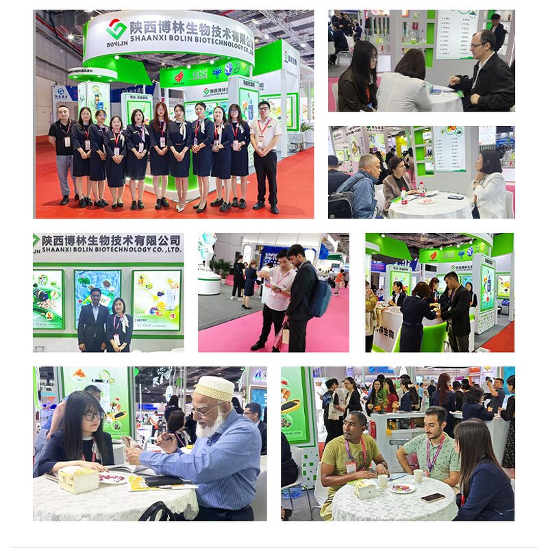 Panax Ginseng Capsules Manufacturer - Private Label & Bulk Extract 60 Capsules