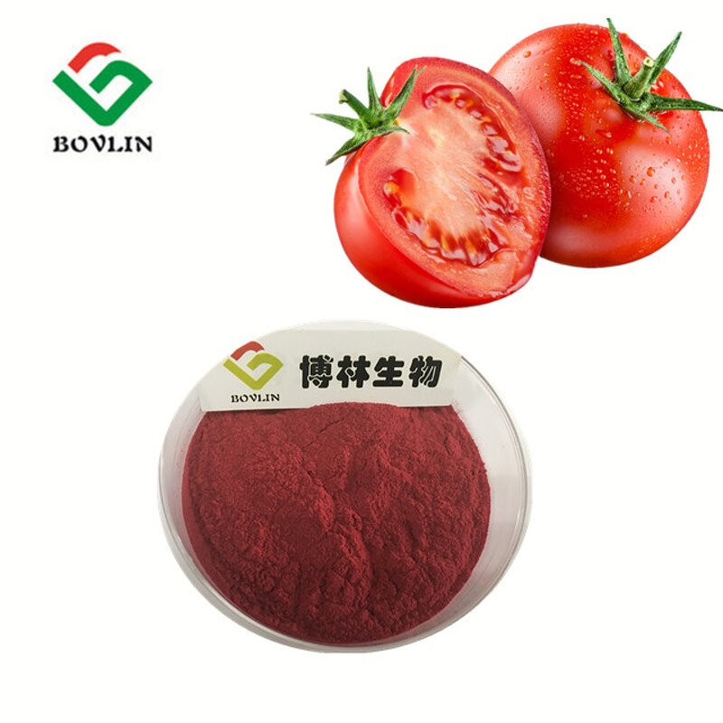 Lycopene Powder Manufacturer - Natural Tomato Extract 10% Food Grade Antioxidant