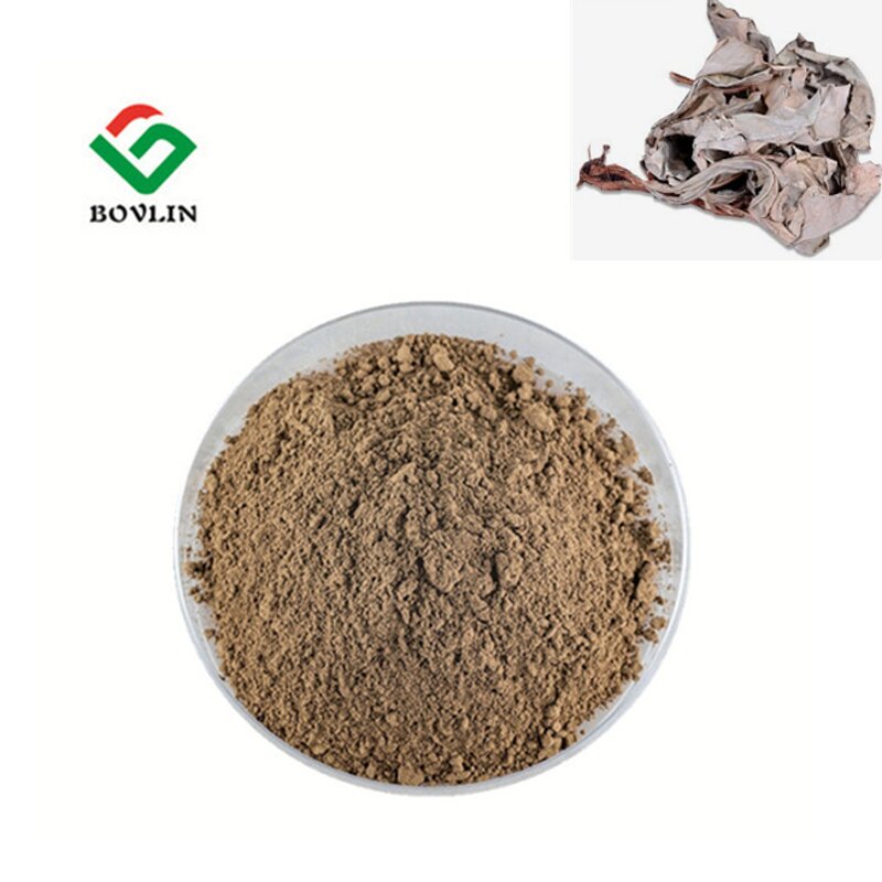 Kacip Fatimah Extract Powder Manufacturer - Pure Herbal Supplement