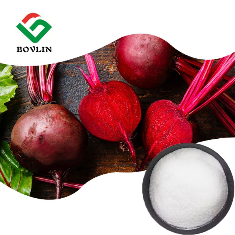 Betaine HCL Powder Manufacturer - 98% Food Grade Betaine Hydrochloride