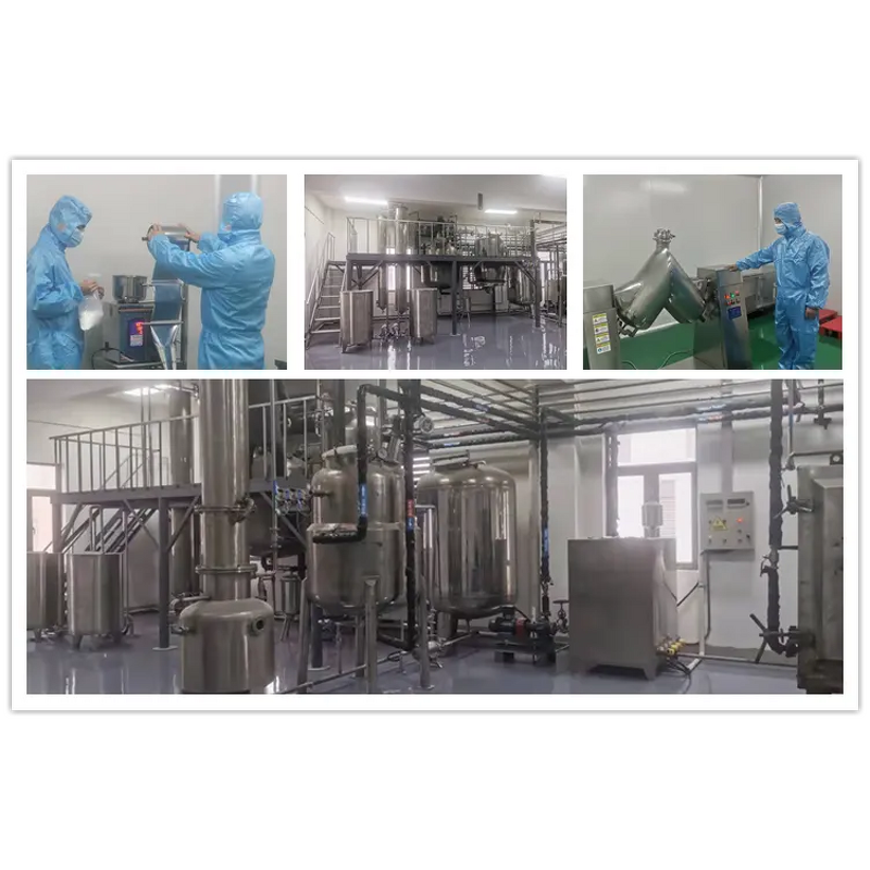 Durian Powder Manufacturer - Freeze-Dried Pure Durian Fruit Powder