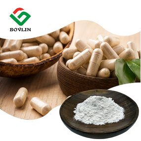 Liposomal NMN Powder Manufacturer - 50% & 70% Nicotinamide Mononucleotide