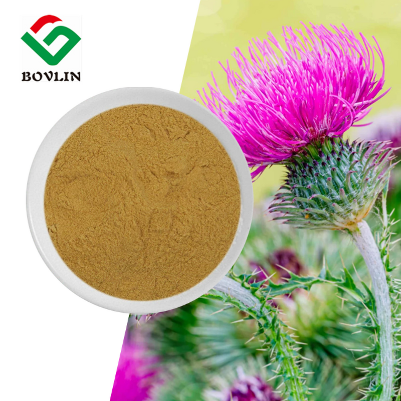 Organic Milk Thistle Extract Manufacturer - Liposomal Silymarin Powder 10% 15% 16% Food Grade