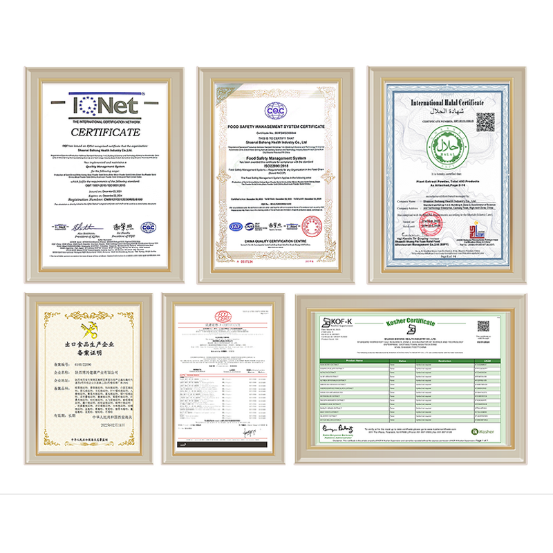 Chlorophyll Powder Manufacturer - Natural Pigment Sodium Copper Chlorophyllin CAS 28302-36-5