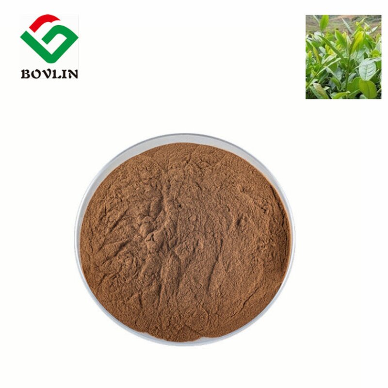 Organic Black Tea Powder Manufacturer - Instant Black Tea Extract