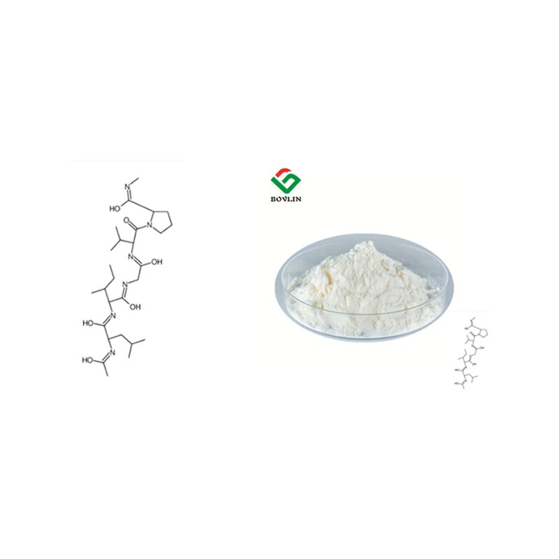 Hydrolyzed Bonito Elastin Powder Manufacturer - 99% Pure Cosmetic Grade