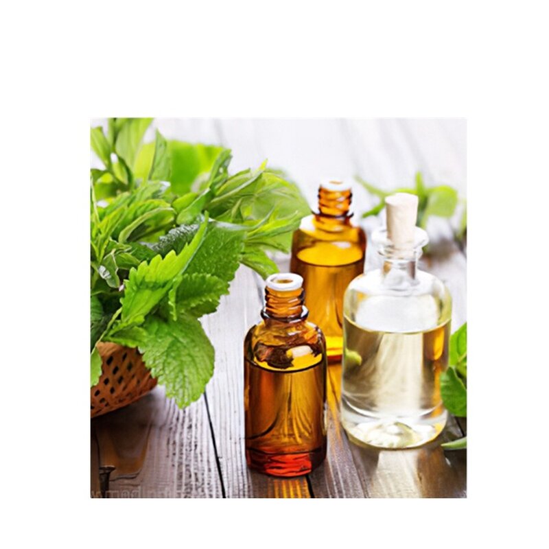 Peppermint Essential Oil Manufacturer - Pure Natural for Private Label