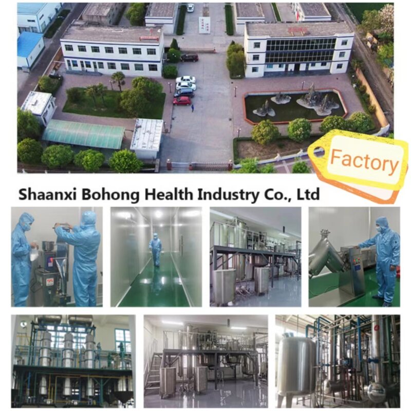 Hyaluronic Acid Powder Manufacturer - Cosmetic Grade, 98% Purity, White