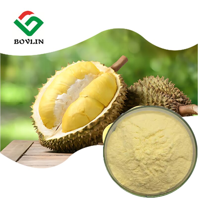 Durian Powder Manufacturer - Freeze-Dried Pure Durian Fruit Powder