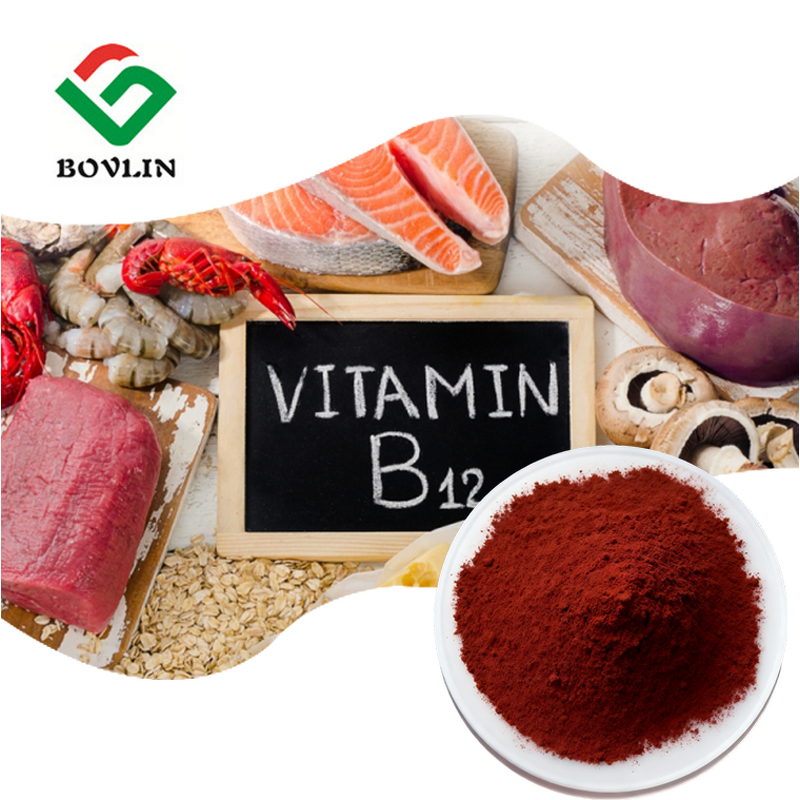 Liposomal Vitamin B12 Powder Manufacturer - 1% B12 Powder for Best Price