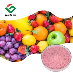 Freeze Dried Fruit Powder Manufacturer - Private Label & OEM Juice Powder