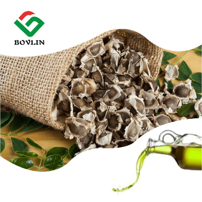 Moringa Seed Oil Manufacturer - Bulk Wholesale Price