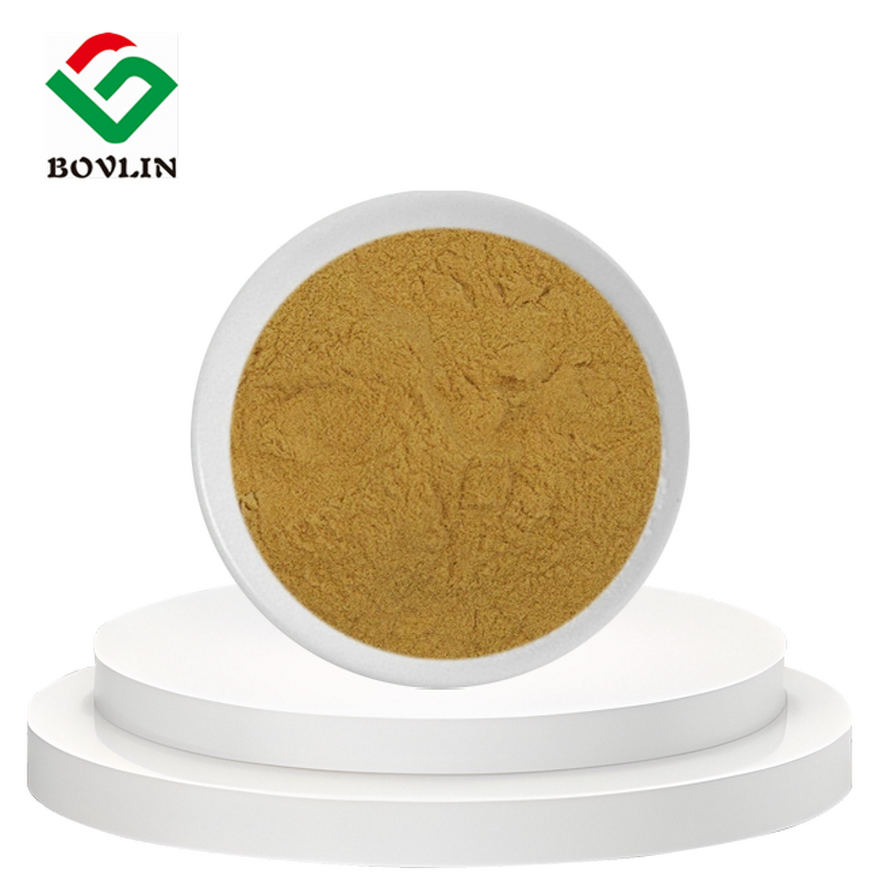 Organic Milk Thistle Extract Manufacturer - Liposomal Silymarin Powder 10% 15% 16% Food Grade