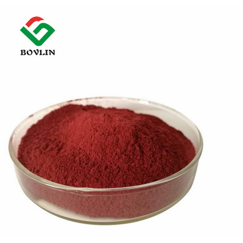 Food Grade Beet Powder Manufacturer - Water Soluble Red Beet Color Powder