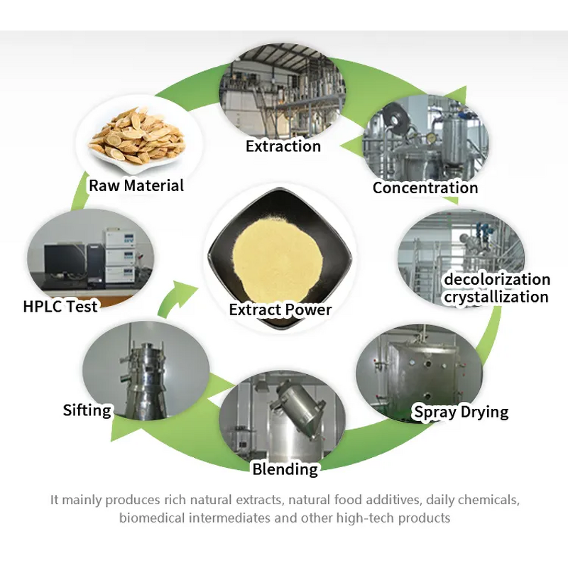 Whey Protein Powder Manufacturer - Halal Certified Bohong Brand for Adult Use