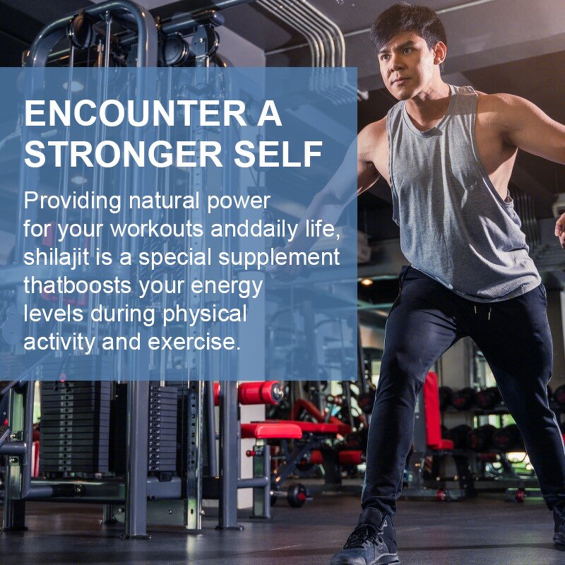 Himalayan Fulvic Acid Shilajit Resin Manufacturer - ODM Private Label Food Grade in Honey Sticks