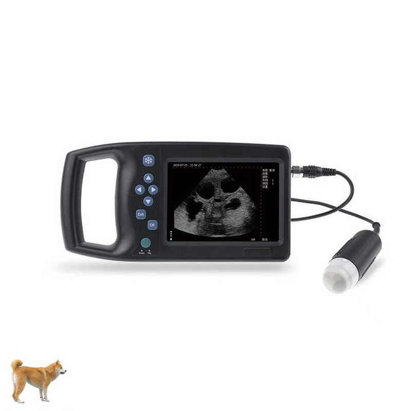 Veterinary Ultrasound Machine Manufacturer - Portable Livestock Scanner with Convex Probe for Goat Pig Equine Pregnancy