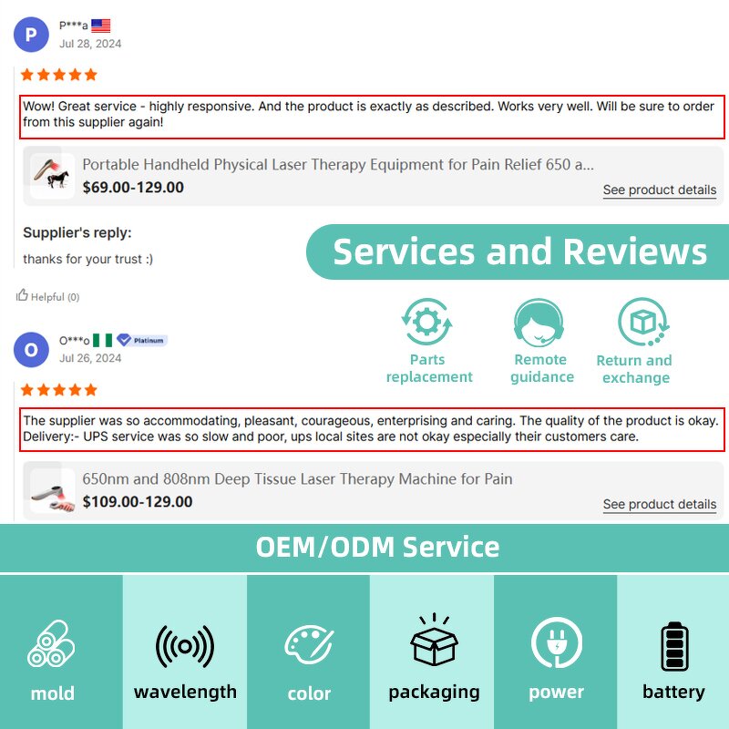 Laser Therapy Machine Manufacturer - Custom 810nm 980nm 1064nm Physiotherapy Device for Animal Pets