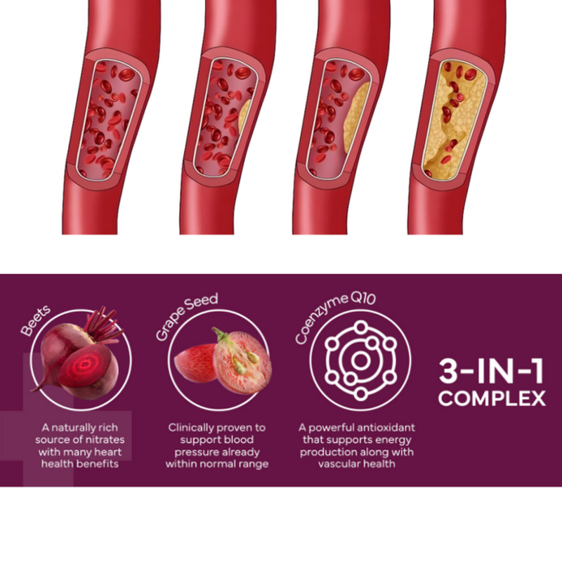 Beet Root Capsules Manufacturer - 3-in-1 Herbal Supplement for Heart & Blood Health with CoQ10 & Grape Seed Extract