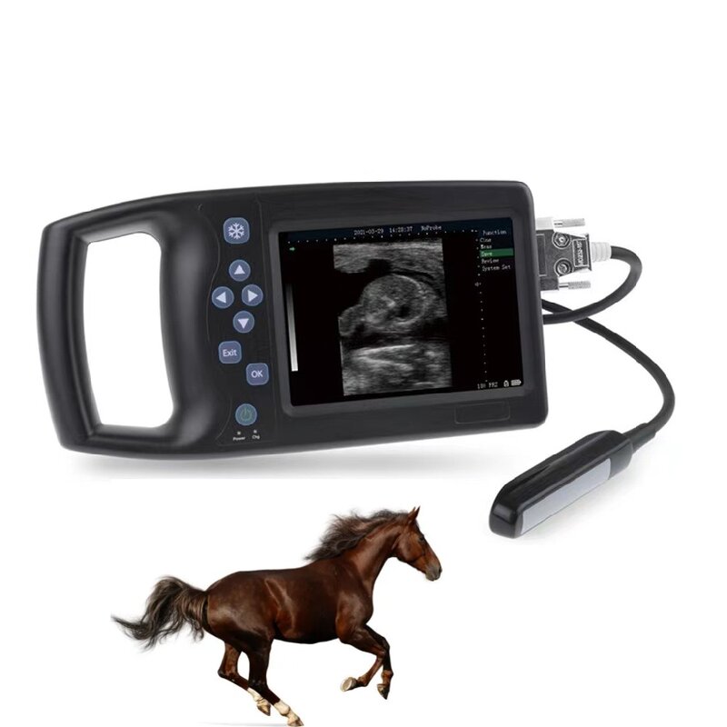 Veterinary Ultrasound Machine Manufacturer - Portable Animal Diagnostic Scanner