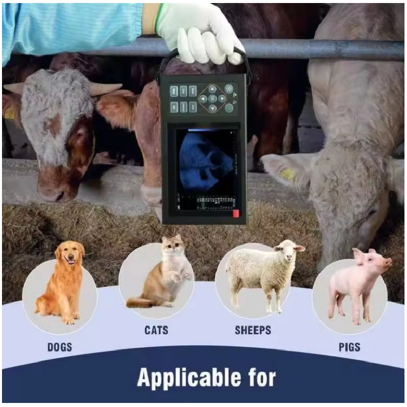 Portable Veterinary Ultrasound Scanner Manufacturer - For Dogs, Cats, Sheep, Pigs, Cows, and Horses